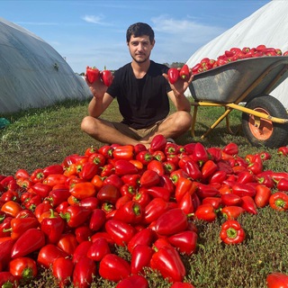 ЯКОВ ОГОРОДНИК