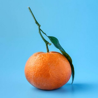  КУРС НА УСПЕХ | ЧЕК-ЛИСТЫ, ГАЙДЫ, КНИГИ