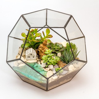 FLO ФЛОРАРИУМЫ И СУККУЛЕНТЫ