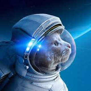 ШИШИ - ЧАТИК