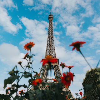 ФРАНЦУЗЬКА МОВА 