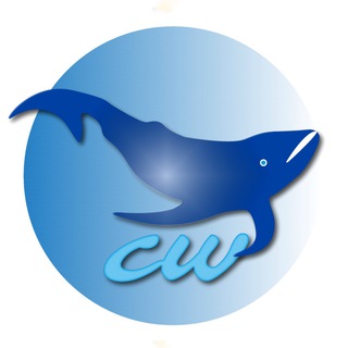 CRYPTOWHALES PUBLIC CHAT