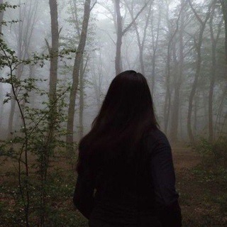 [ 꿈 ] В‌А‌Н‌И‌Л‌Ь‌Н‌Ы‌Е‌ С‌Н‌Ы‌ ◞  ✧