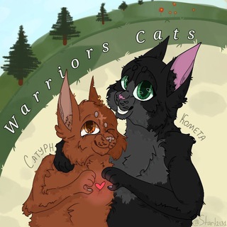 КОТЫ ВОИТЕЛИ / WARRIORS CATS
