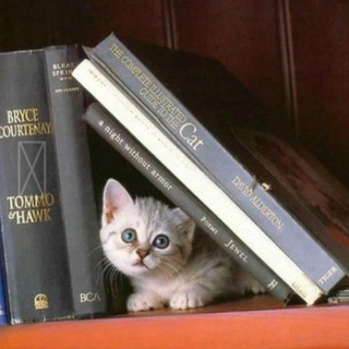 КНИГИ ПСИХОЛОГИЯ MARIAPSYCARDS