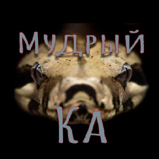 МУДРЫЙ КА | ЗАДАЧКИ | ГОЛОВОЛОМКИ