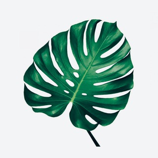 ПСИХОЛОГ МЕРКУЛОВ