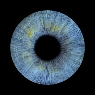 МАКСИМ РЫБАЛКО | КАНАЛ