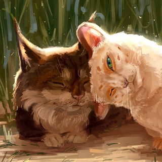 ДОМАШНИЕ ЖИВОТНЫЕ | УХОД