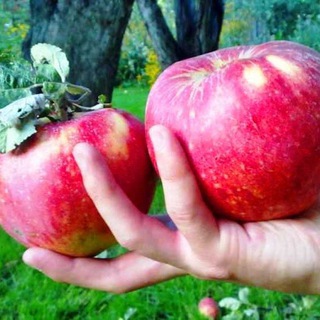 БУДЕТЕ ЗДОРОВЫ