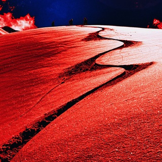 FREERIDE WITH SASHA ILYIN