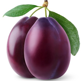 СЛИВЫ МАРКЕТИНГА