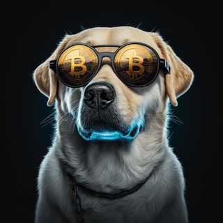 CRYPTO_BULLDOG