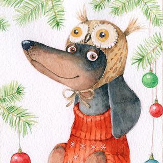 ТАКСЫ | DACHSHUND | WIENERDOG