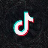 ЗАРАБОТОК В TIKTOK