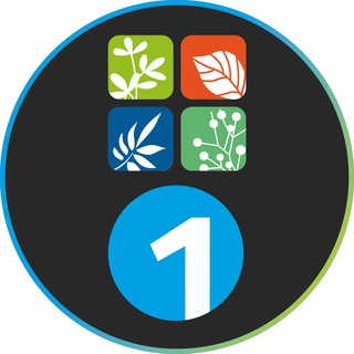 ГК «ЦП» И 1СП