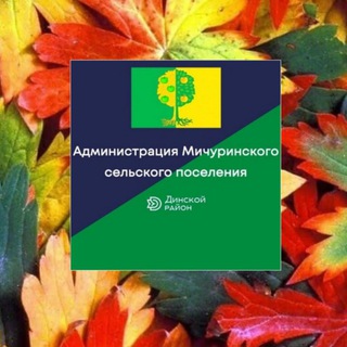 МИЧУРИНСКОЕ СЕЛЬСКОЕ ПОСЕЛЕНИЕ