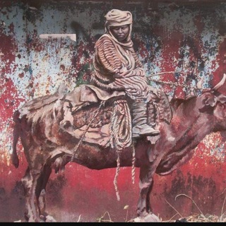 CENTRAL ASIAN ANALYTICAL NETWORK