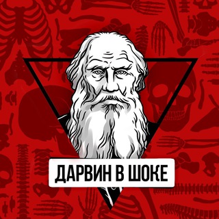 ДАРВИН В ШОКЕ 21+