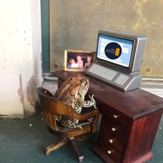 СОВЕТ ОБЩЕЖИТИЙ ЧАТ