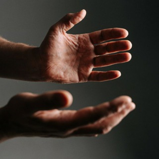 ШКОЛА БИОДИНАМИКИ