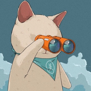 ДИЗАЙНЕРСКАЯ СОЛЯНКА