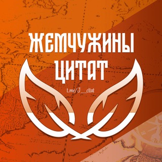 ЖЕМЧУЖИНЫ ЦИТАТ