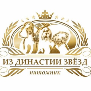 ТОЙ ПУДЕЛЬ / МАЛЬТИПУ