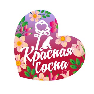 ПРИЮТ ДЛЯ СОБАК «КРАСНАЯ СОСНА»