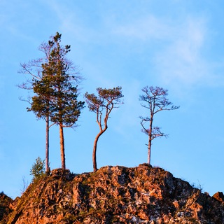РЕКИ, СКАЛЫ И ЛЕСА