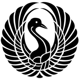 BLACKSWAN TRADING CRYPTO | CHAT