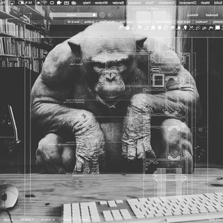 PROJECTS & PRINCIPLES