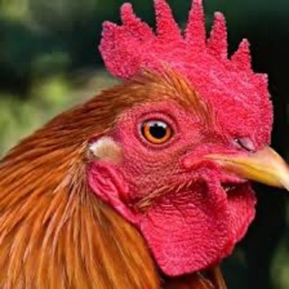 ТОП ПРОГНОЗ ТВ