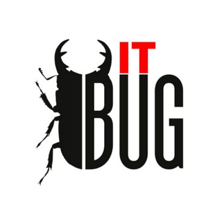 IT BUG (ОСНОВНЫЕ СУЩНОСТИ)