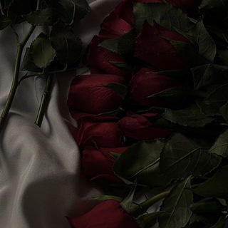 ОТ ЛЮБВИ ЛЮБВИ НЕ ИЩУТ...