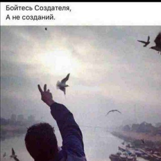 ДУШЕВНЫЕ ЦИТАТЫ