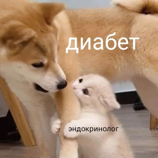 ЭНДОКРИНОЛОГ ОНЛАЙН