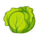 КАПУСТА В ЗАКОНЕ