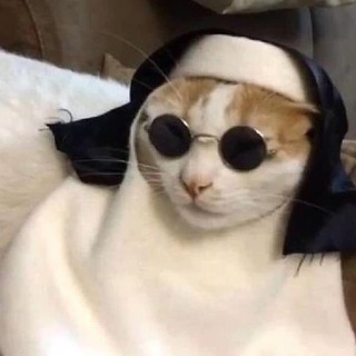 ЗДОРОВЬЕ ПИТОМЦА