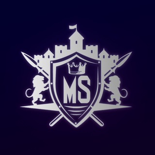 MIND SIGHT | ФИНАНСЫ И ПРОДУКТИВНОСТЬ