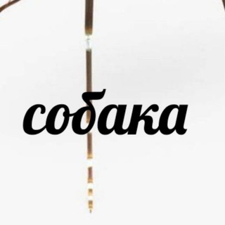 УСПЕХ И МОТИВАЦИЯ В ЦИТАТАХ