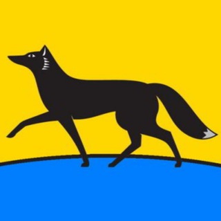 ЧТО ТАМ ПО СУРГУТУ?