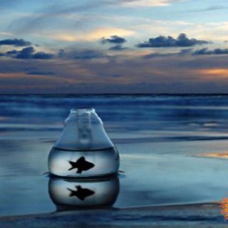 СИСТЕМНЫЙ СЕРВАНТ