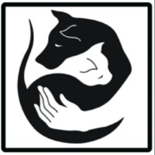 ПОТЕРЯШКИ КРАСНОДАР