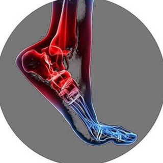 АНАТОМИЯ ДВИЖЕНИЯ 2