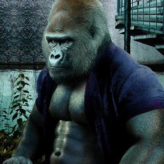 СТУДЕНТ НА ВПИСКЕ