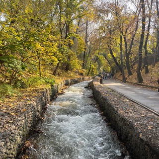 ЗИМНИЕ КАРТИНКИ