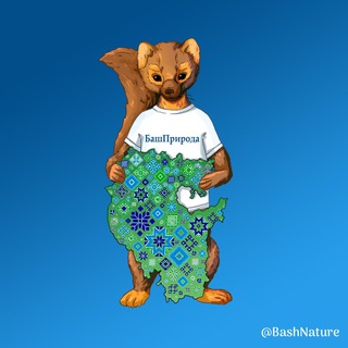 БАШПРИРОДА
