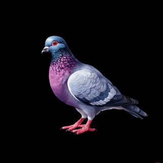 ГОЛУБЬ НА ФРИЛАНСЕ. УДАЛЕННАЯ РАБОТА. ВАКАНСИИ