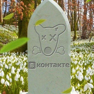МЕРТВЫЕ СТРАНИЦЫ
